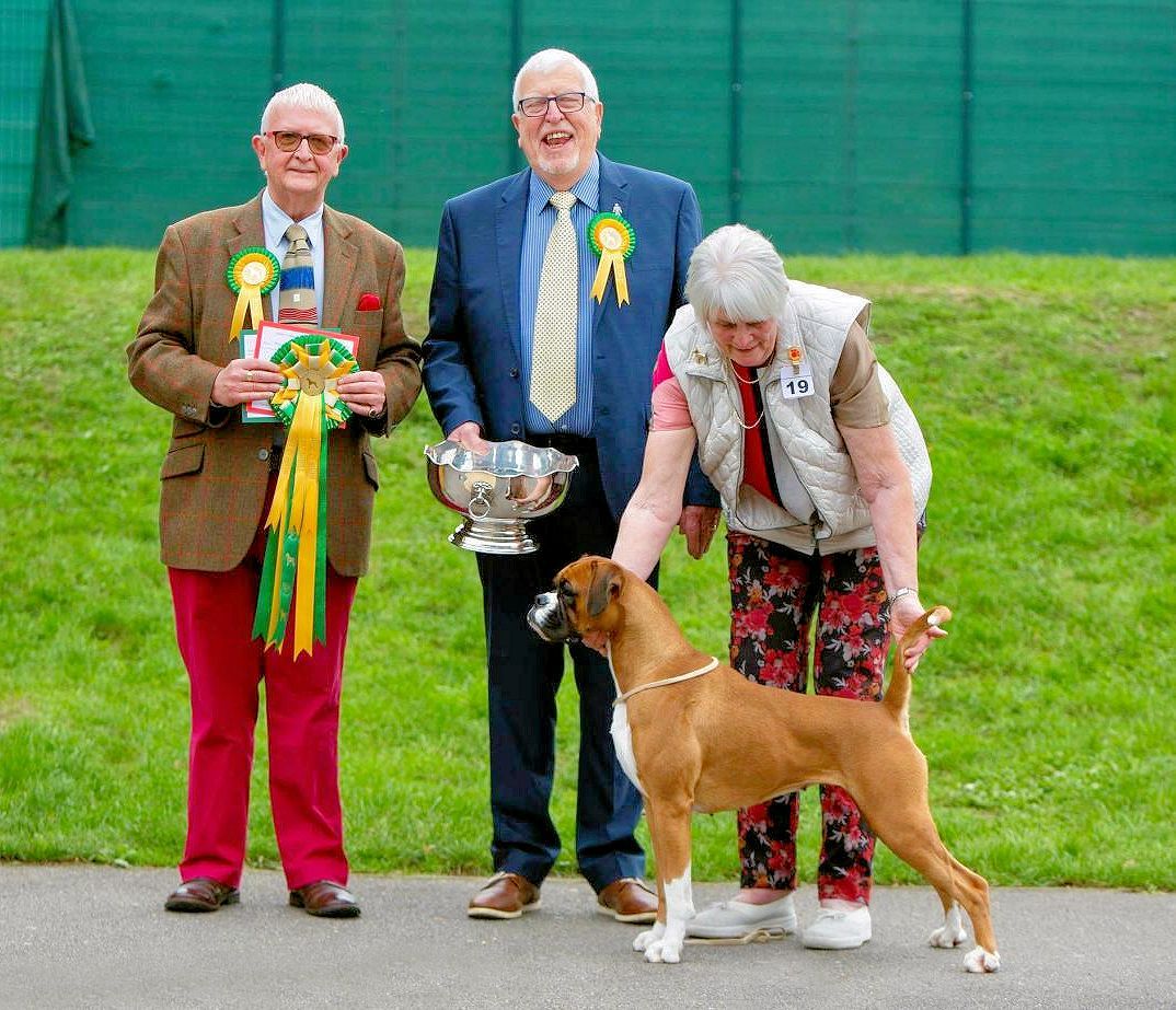 It's All About the BREED